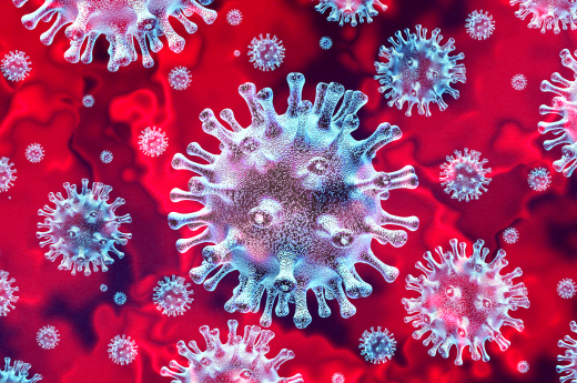 photo of a virus